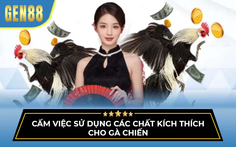 đá gà cựa dao 