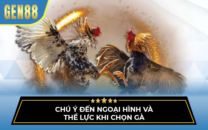 đá gà cựa sắt