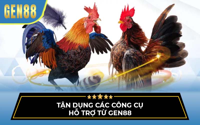 đá gà cựa sắt 